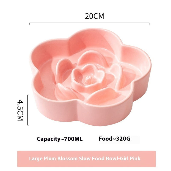 Why Your Pet Needs a Ceramic Slow Feeding Bowl