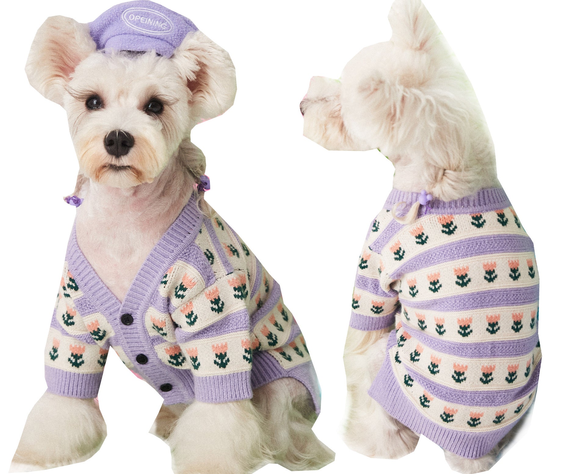 Purple Flower Pet Sweater Cardigan For Stylish Warm Comfort