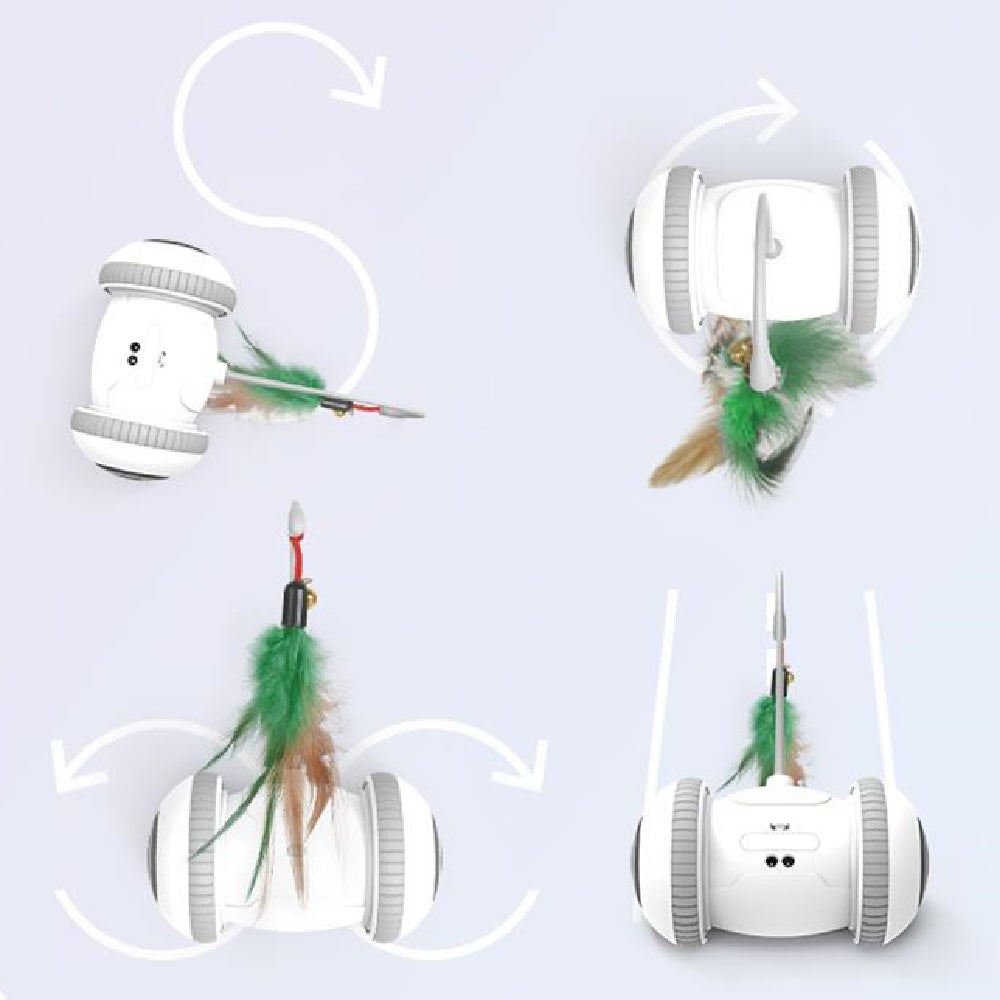 The Ultimate Interactive Pet Feather Toy for Your Feline Friend