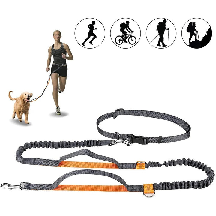 Adjustable Pet Harness Collar And Jogging Leash Set