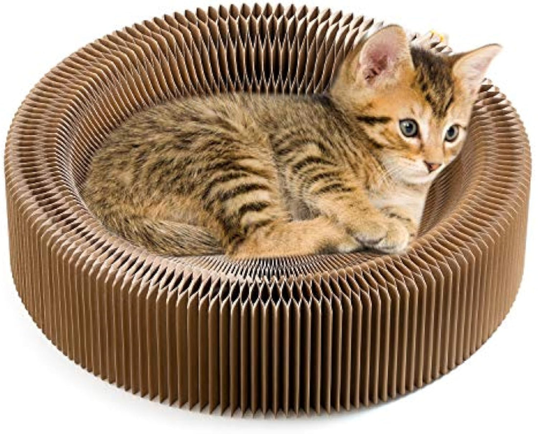 dd79464e4ea60d5b9558ad47532161f3