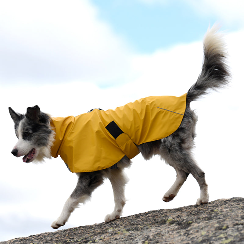 7cb9440eb06fe27fb82f8f64219ec770